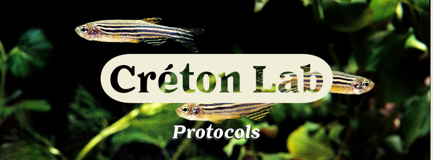 Creton Lab protocols banner